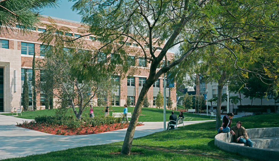 University chapman profile icon